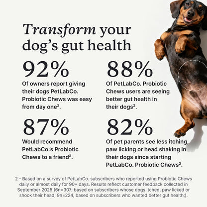 PetLab Co. dog digestive supplement chews displaying active ingredients and tribiotic blend.
