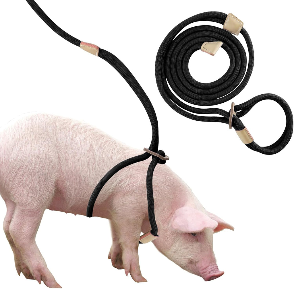 Jinkoozz Mini Pig Harness And Leash front view showing adjustable black nylon rope