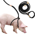 Jinkoozz Mini Pig Harness And Leash front view showing adjustable black nylon rope