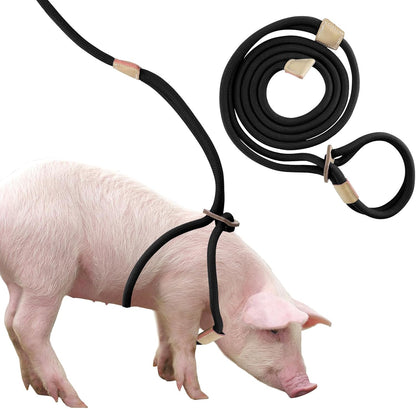 Jinkoozz mini pig harness and leash front view