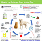 Cat and dog health supplement bottle with NMN and Fisetin