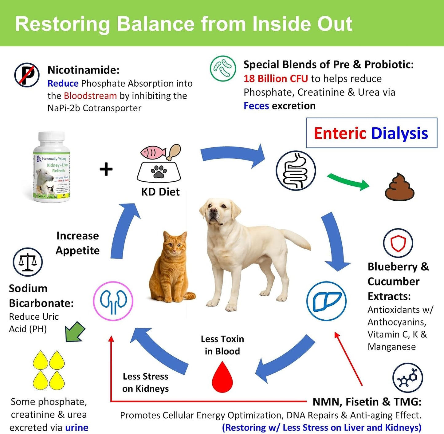 Cat and dog health supplement bottle with NMN and Fisetin
