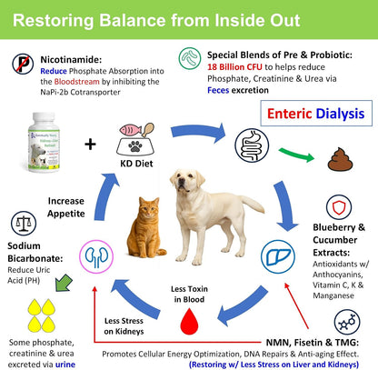 Cat and dog health supplement bottle with NMN and Fisetin