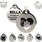 Durable metal cat tag shown beside a standard collar
