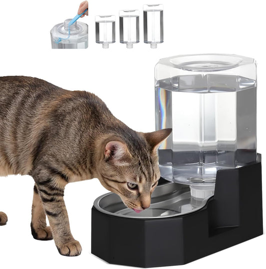 Sfozstra 5 Litre Gravity Stainless Steel Dog Water Dispenser front view showcasing the transparent angular tank.