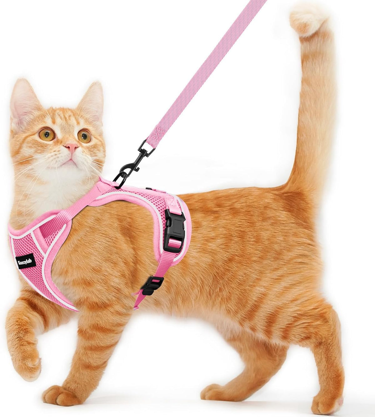 Cat Harness and Leash for Walking Escape Proof Soft Adjustable Cat Leash Breathable Comfortable Vest Easy to Wear Kitten Harness for Outdoor Travel (Black, S (7-12lb)) - Image 10