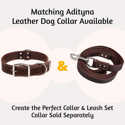 Close up view of the thick three quarter inch wide ADITYNA leather dog leash construction.