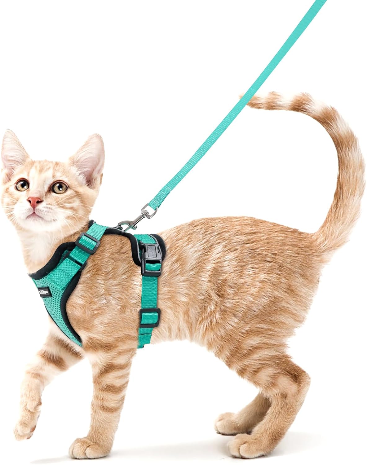 rabbitgoo Escape Proof Cat Harness and Leash Set, Xs, Black | 4-point Adjustable, Quick-snap Buckles, All-weather Mesh, Secure Leash Clip, Reflective Strips, for Small & Average Cats - Image 12