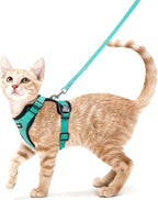 rabbitgoo Escape Proof Cat Harness and Leash Set, S, Green & Pink | 4-point Adjustable, Quick-snap Buckles, All-weather Mesh, Secure Leash Clip, Reflective Strips, for Average Adult Cats - Image 12