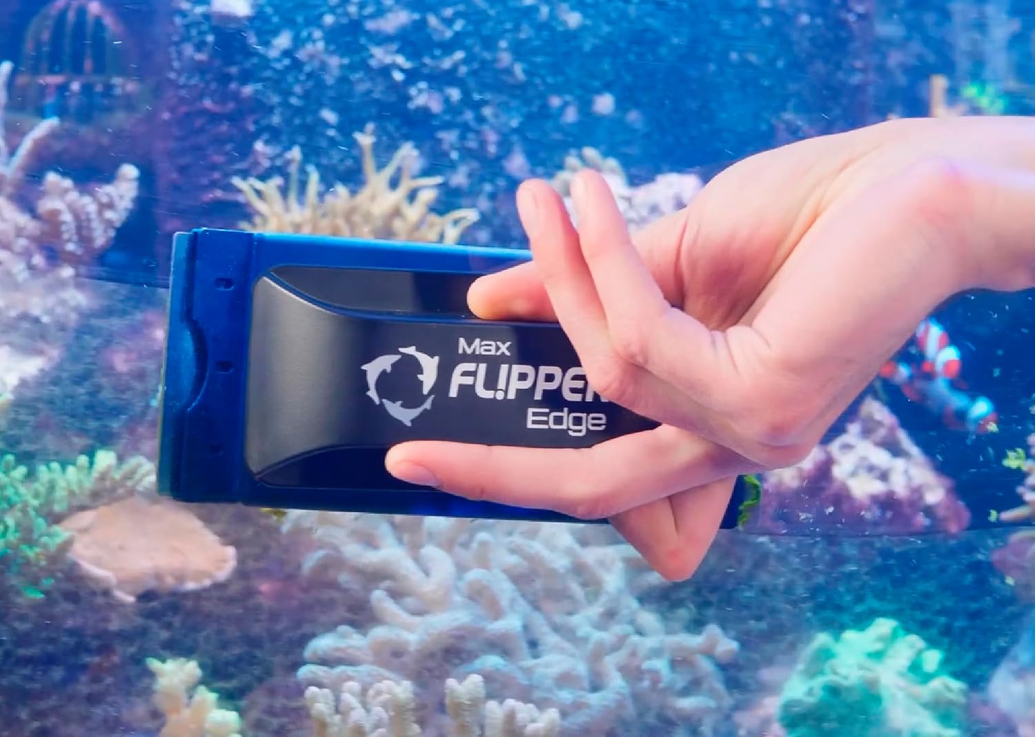 Reversible edge scraper blades for marine aquarium maintenance.