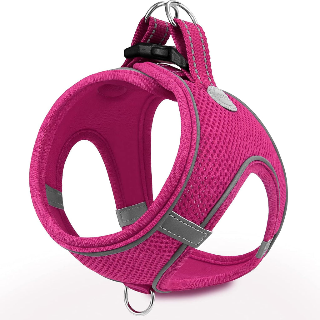 Size M Joytale dog harness laid flat for step-in convenience