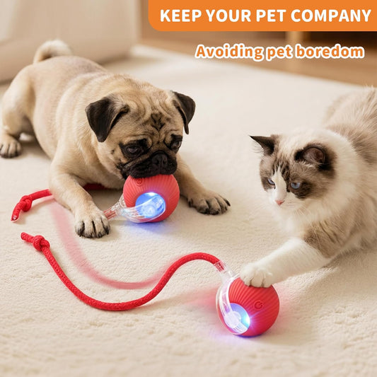 Maxtooa automatic rolling cat ball for indoor play