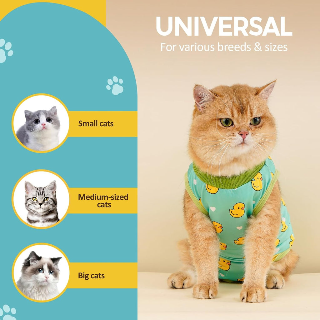 Avont anti-licking cat onesie for post-operative care and abdominal wound healing.