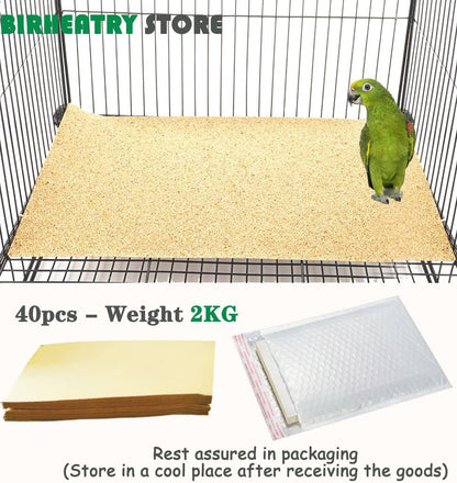 Bird sitting on gravel liner paper in cage