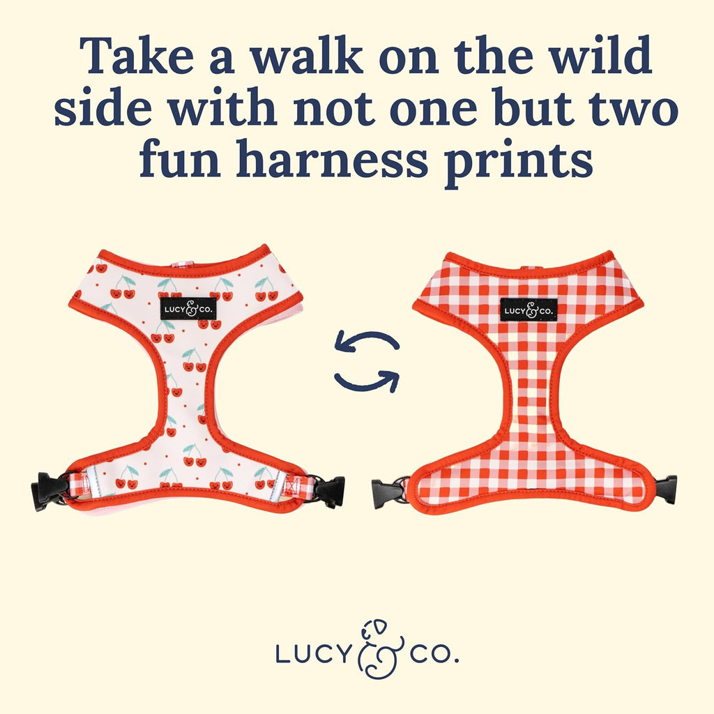 Lucy and Co designer pet accessory imported authentic dog walking gear.