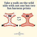 Lucy and Co designer pet accessory imported authentic dog walking gear.