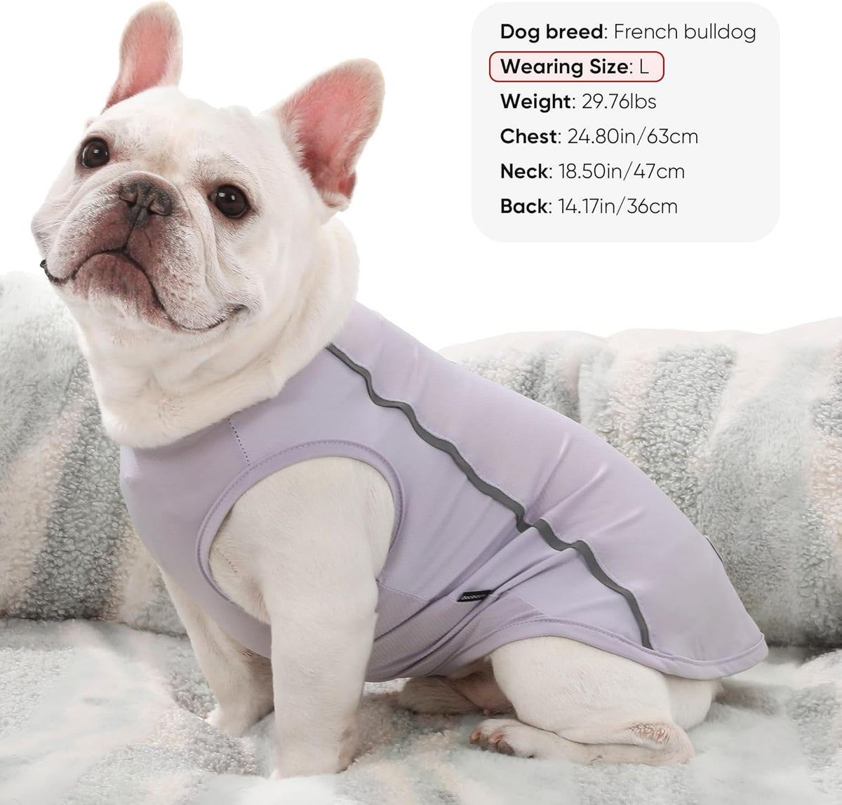 Reflective strip detail on BAOBICUTE dog cooling shirt