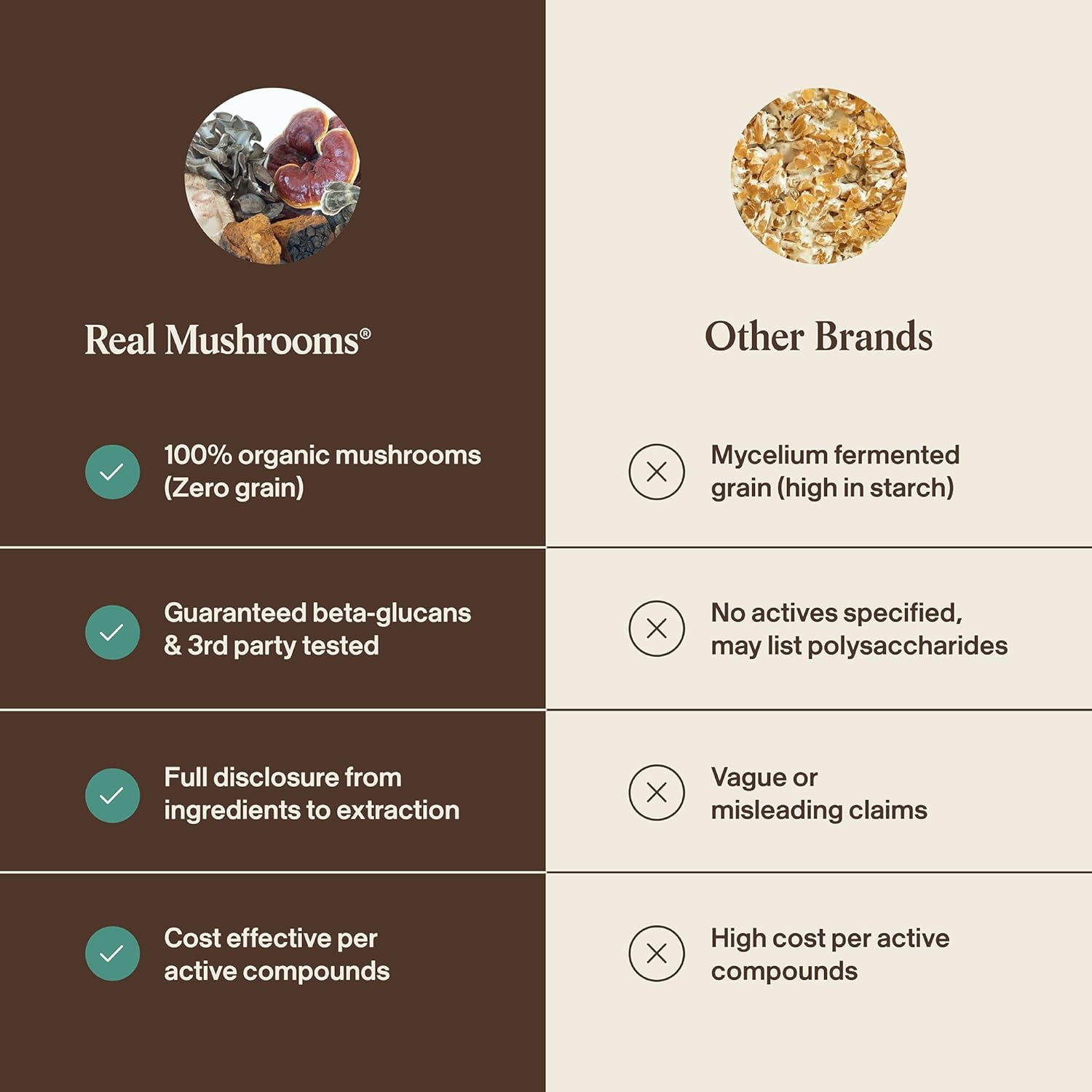 Veterinarian formulated mushroom powder capsules for pet daily gut microbiome support