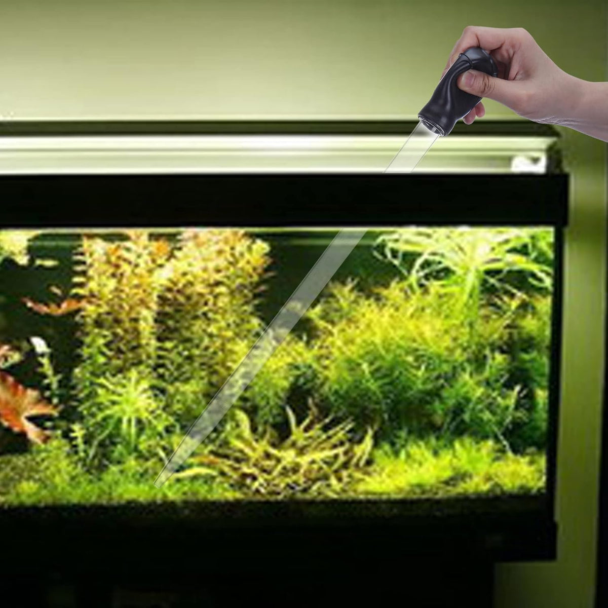 Filhome marine reef spot feeder syringe being used to precisely distribute liquid fertilizer.