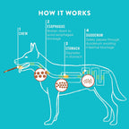 Educational label detail showing collagen benefits on bag