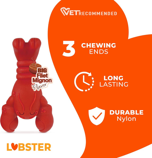 Nylabone Lobster toy showing textured claws