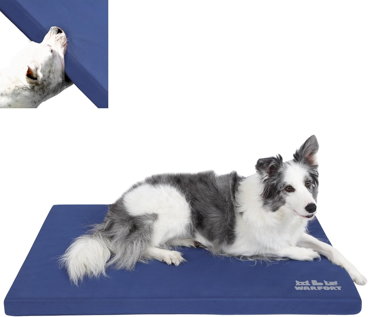 Warfort durable outdoor dog bed blue front view