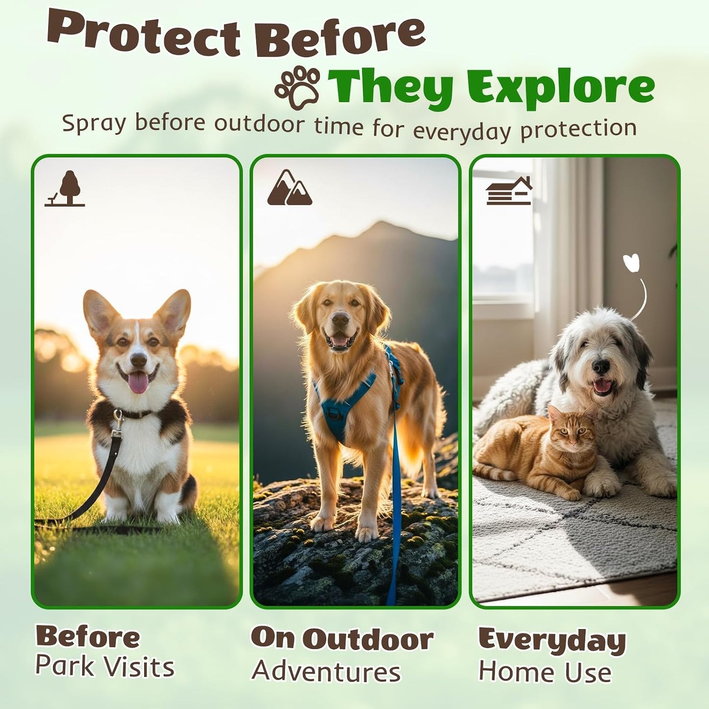 Migdracy non toxic pet and home freshness spray application instructions
