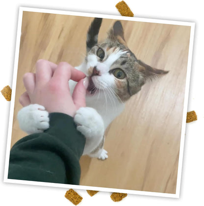 Premium USA imported Meowijuana crunchie munchies cat snacks resealable pouch.