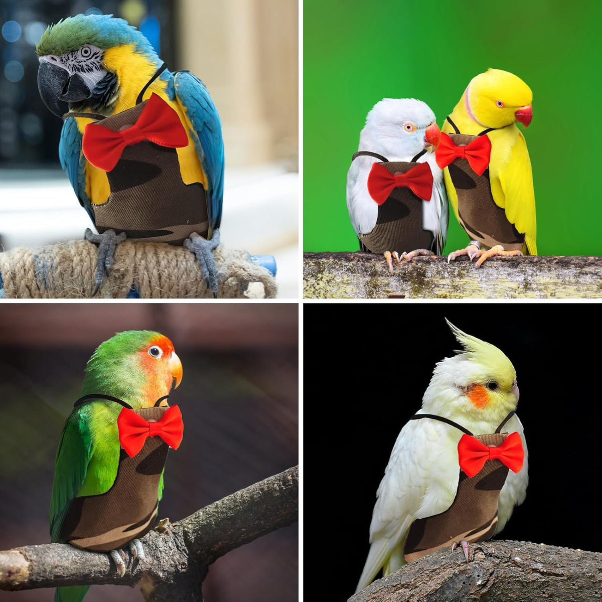 Close up of breathable cotton material on XQIGI XXL bird diaper