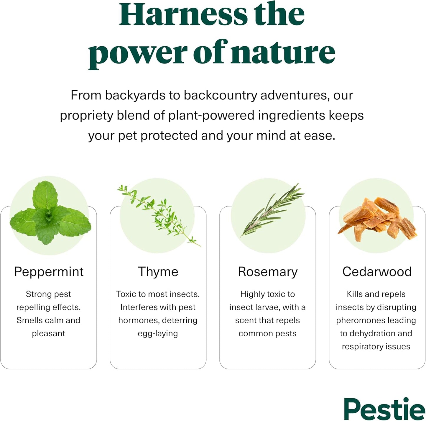 Close up of Pestie pet treatment spray nozzle