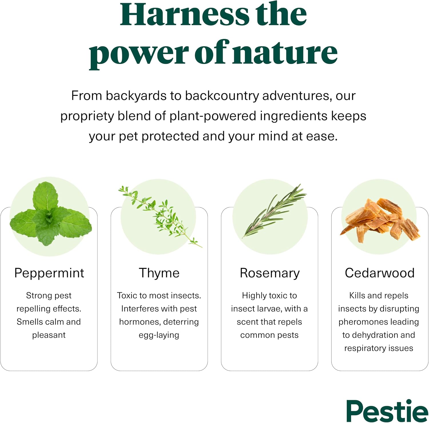 Close up of Pestie pet treatment spray nozzle