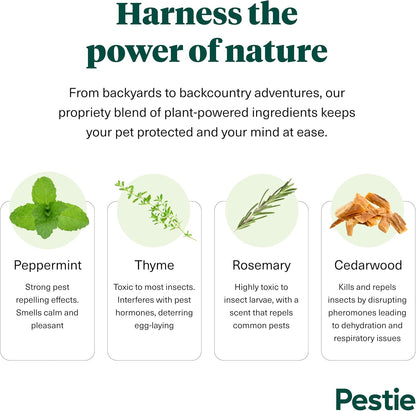 Close up of Pestie pet treatment spray nozzle