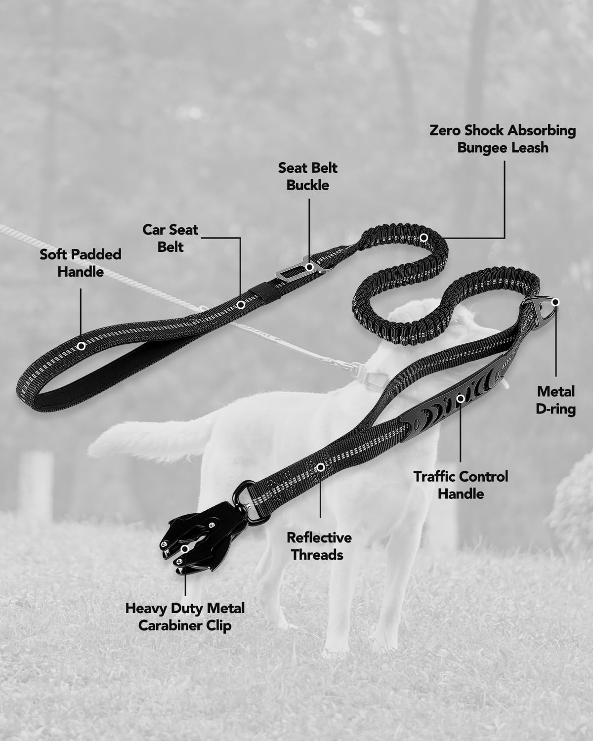 Joytale non slip no pull dog leash showing the functional metal accessory D ring