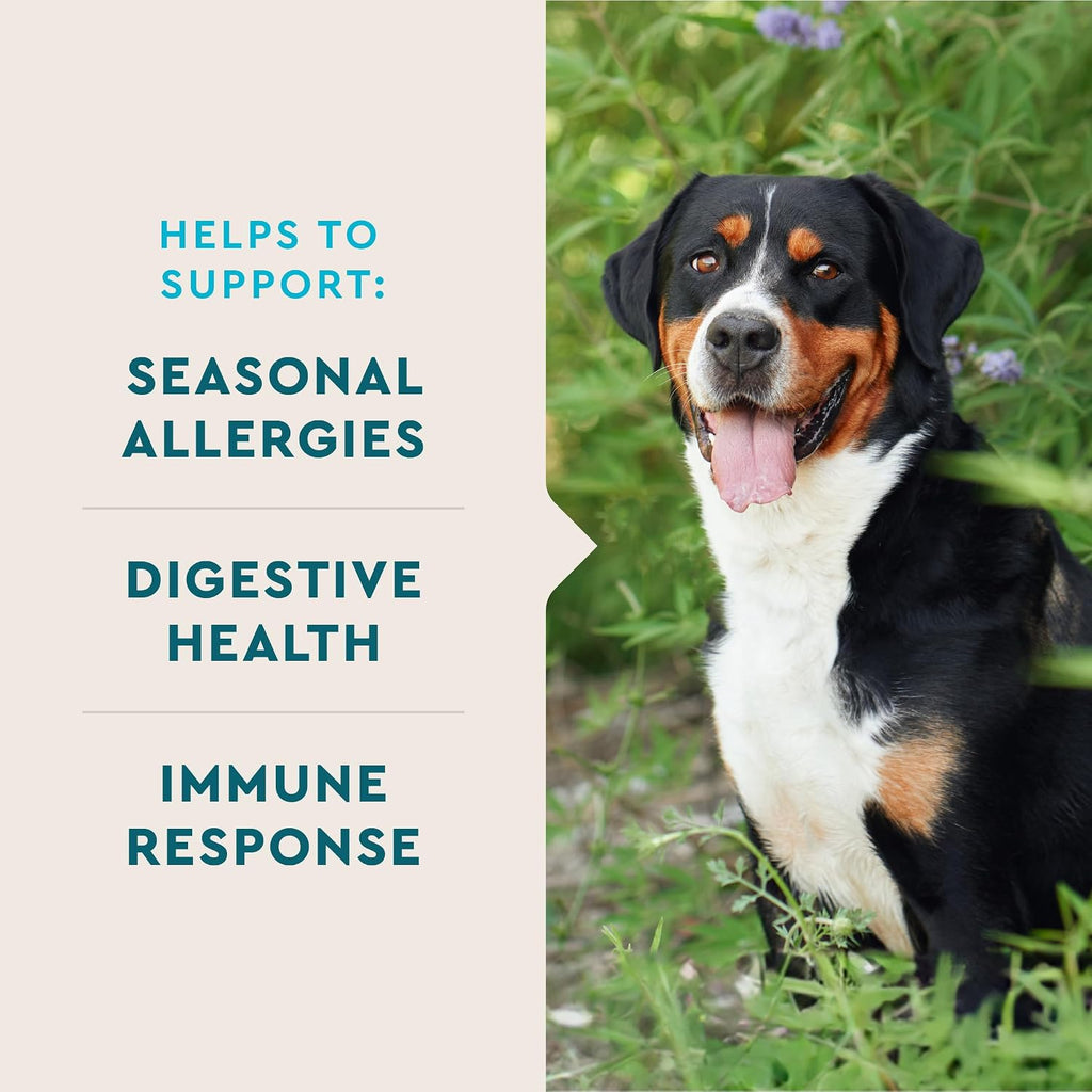 VetIQ dog allergy supplement 90 count packaging
