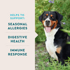 VetIQ dog allergy supplement 90 count packaging