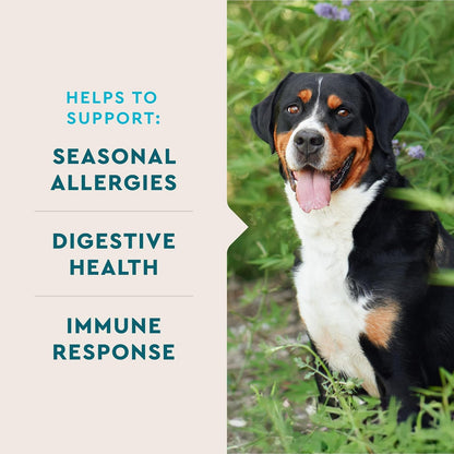 VetIQ dog allergy supplement 90 count packaging