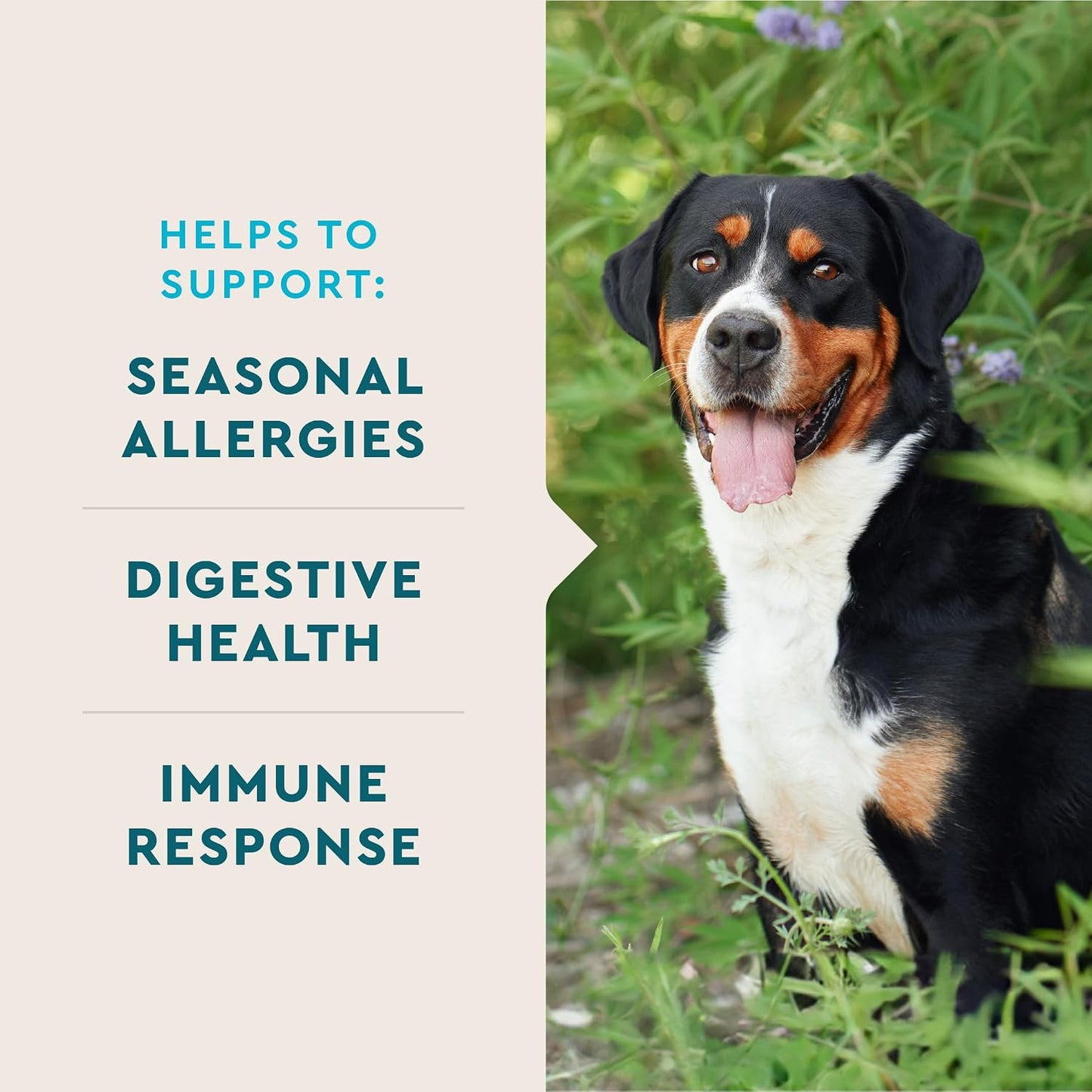 VetIQ dog allergy supplement packaging displaying colostrum and astragalus root ingredients