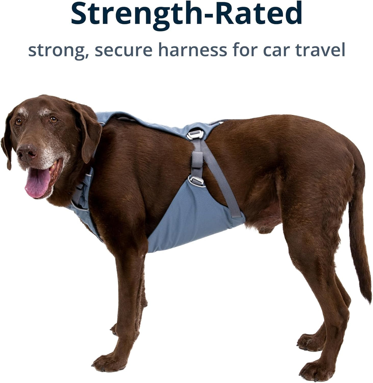 Ruffwear Load Up harness showing adjustable belly strap detail