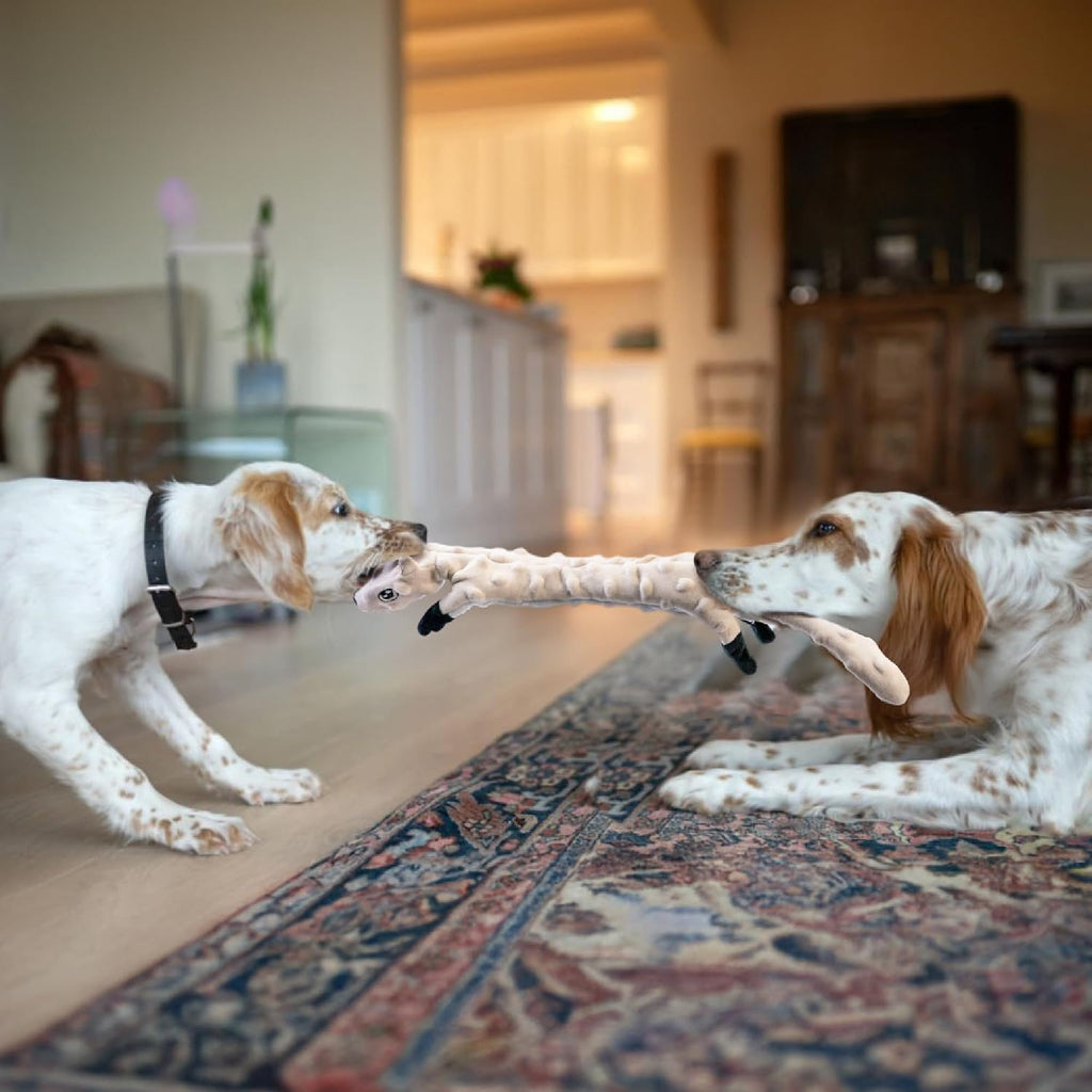 Small puppy teething toy with soft bubble texture