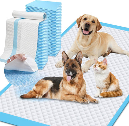 Iweepet premium imported dog potty training pads collection