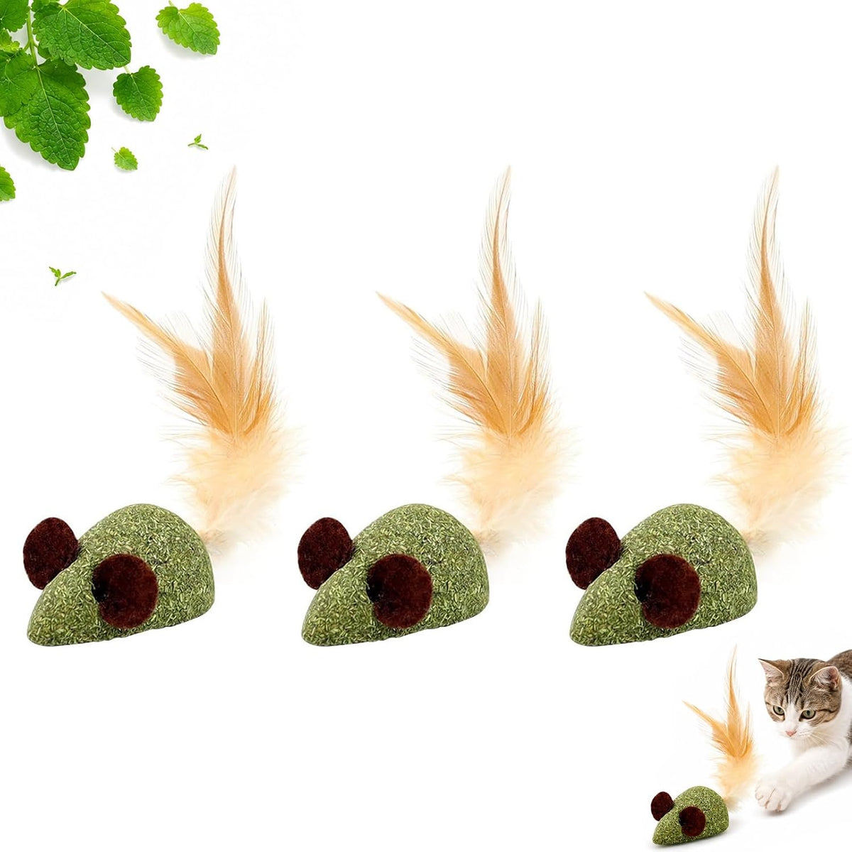 Wooden cat chew stick for teeth cleaning and health