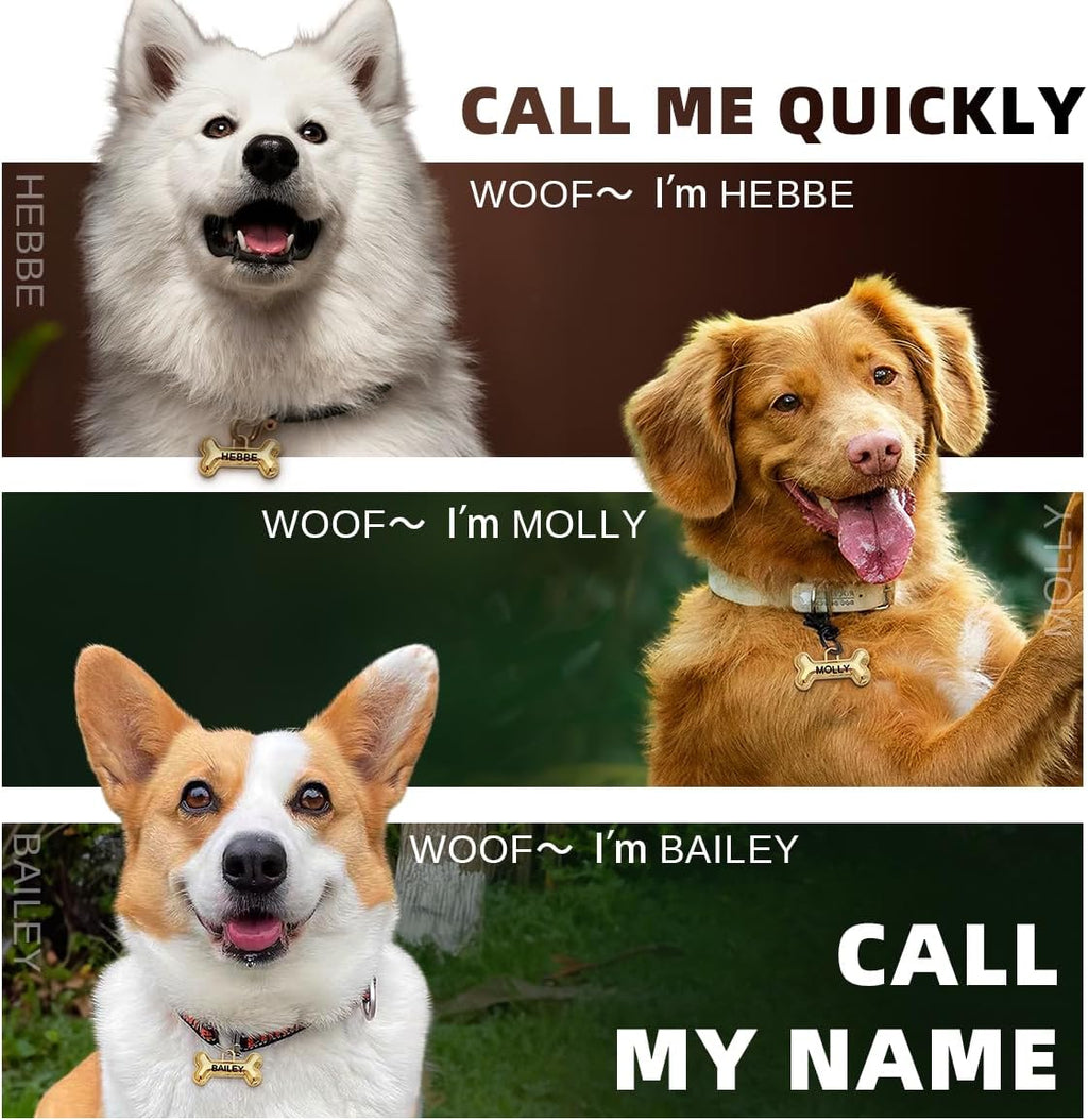 Custom double sided bone balloon shaped pet ID tag with contact information.