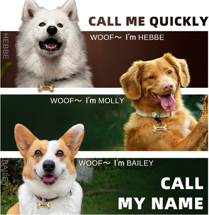 Custom double sided bone balloon shaped pet ID tag with contact information.