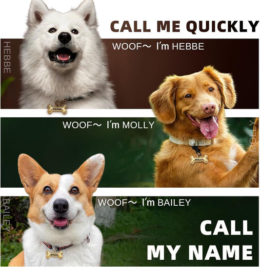 Custom double sided bone balloon shaped pet ID tag with contact information.