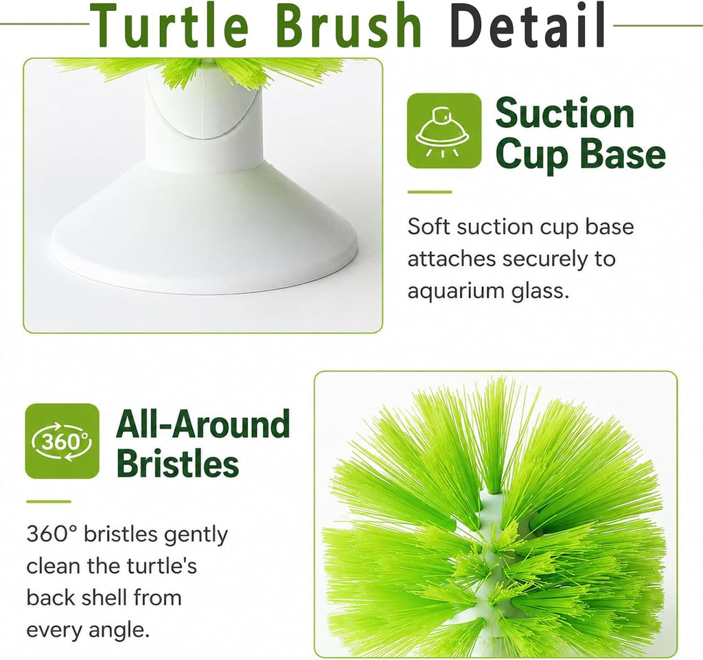 Pet tortoise back scratching exfoliator brush removing scutes and dirt