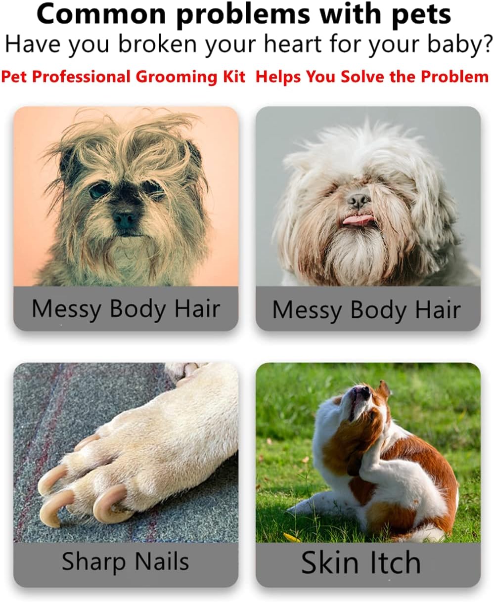 Complete four piece KUNBIUH pet grooming set for guinea pigs and hamsters