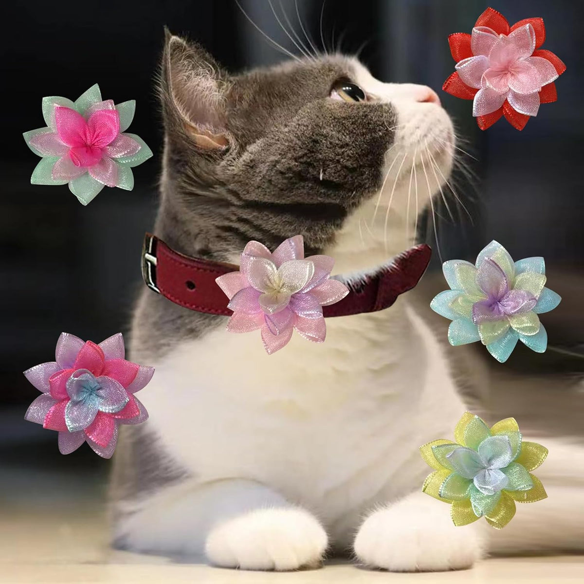 Collection of decorative pet collar flowers in various shades