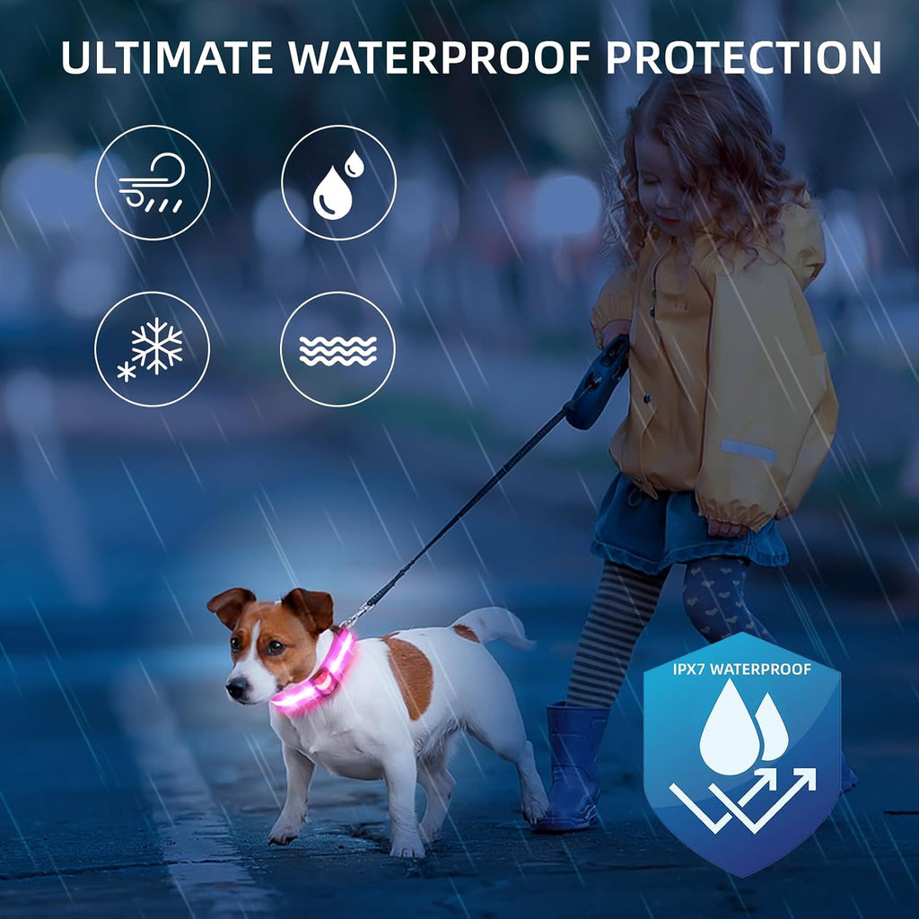 USB-C charging port on PetIsay illuminated pet safety collar
