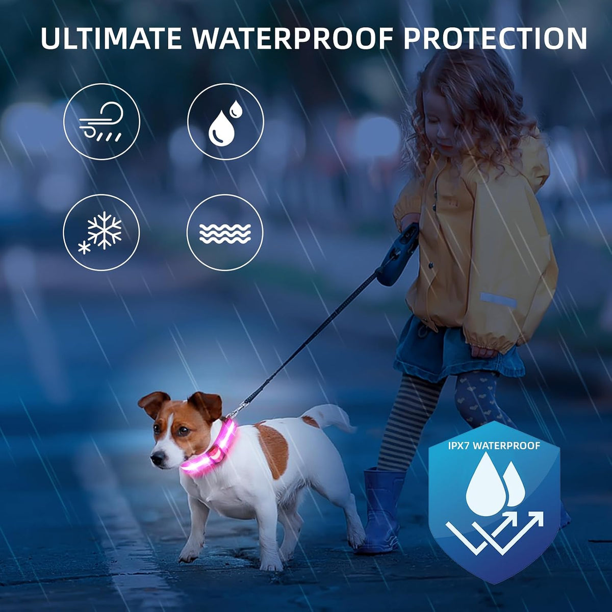 USB-C charging port on PetIsay illuminated pet safety collar