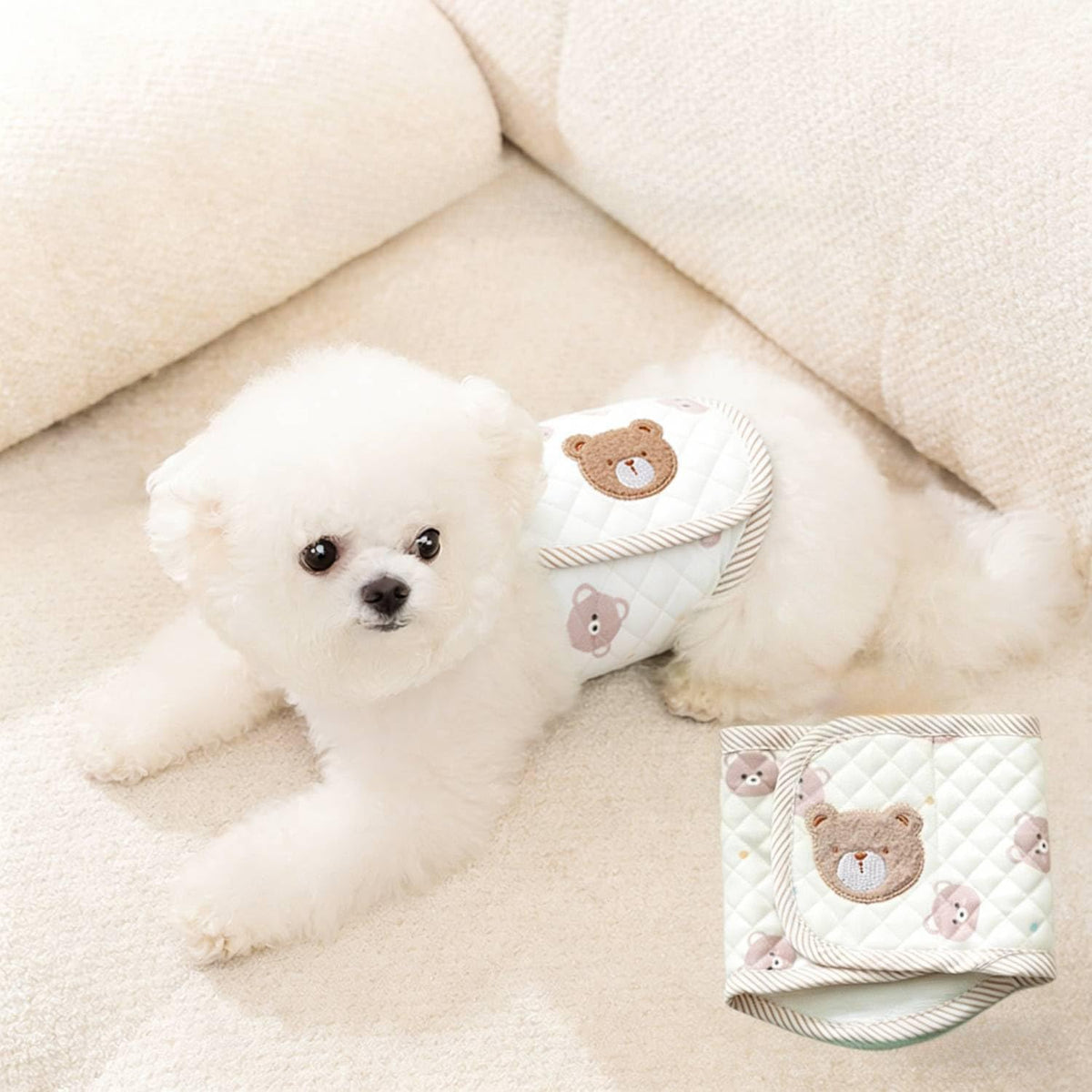 Generic male dog belly band front view cartoon bear design wrap